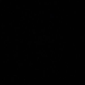 Meet your Posher, Raelyn